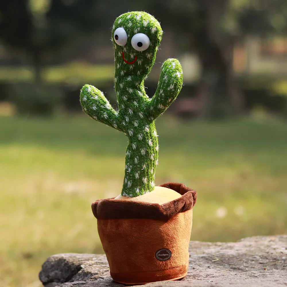 Mr. Giggles Cactus